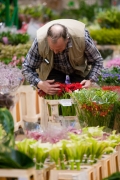 MIN RUNGIS-Fleurs-89